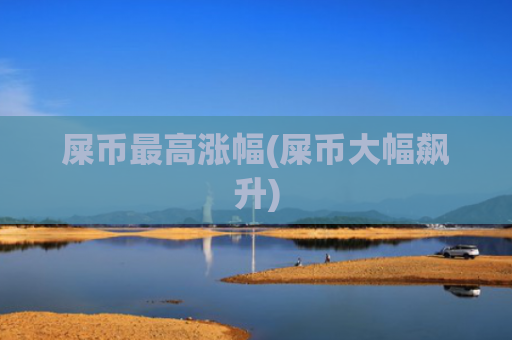屎币最高涨幅(屎币大幅飙升)