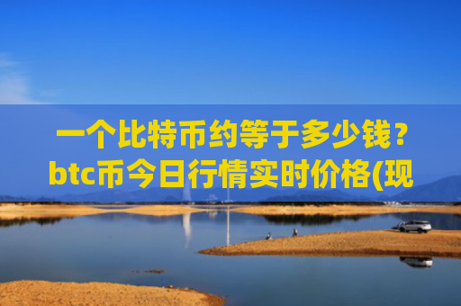 一个比特币约等于多少钱？btc币今日行情实时价格(现价728683.37元)