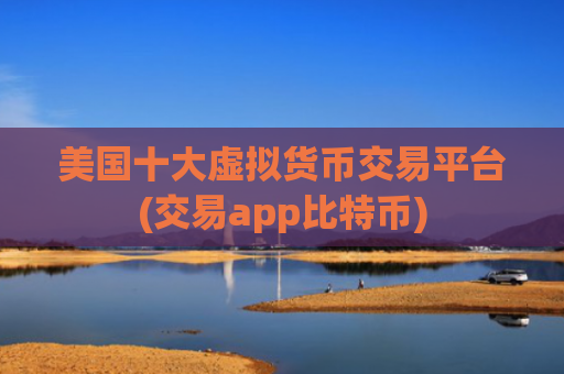 美国十大虚拟货币交易平台(交易app比特币)