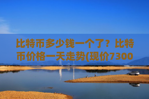 比特币多少钱一个了？比特币价格一天走势(现价730030.83元)