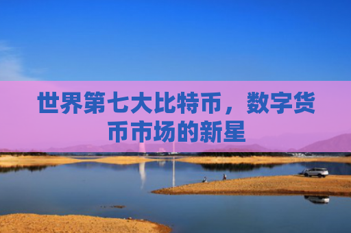 世界第七大比特币，数字货币市场的新星