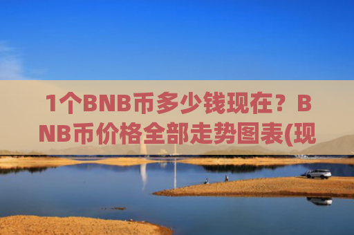 1个BNB币多少钱现在？BNB币价格全部走势图表(现价5133.87元)