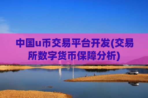 中国u币交易平台开发(交易所数字货币保障分析)