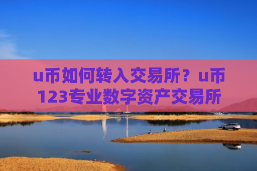 u币如何转入交易所？u币123专业数字资产交易所