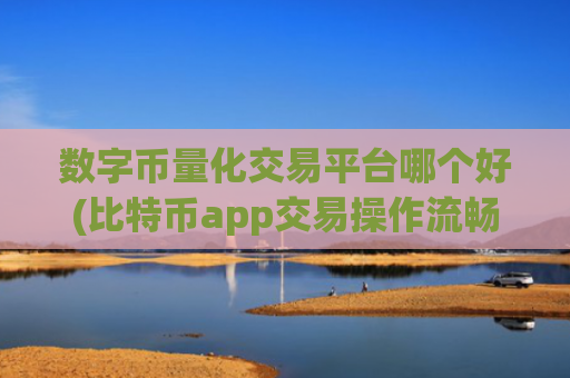 数字币量化交易平台哪个好(比特币app交易操作流畅)
