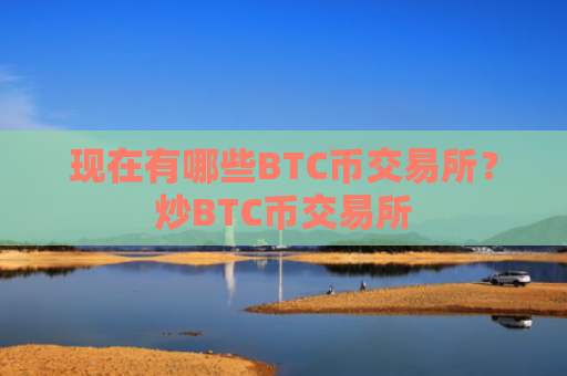 现在有哪些BTC币交易所？炒BTC币交易所