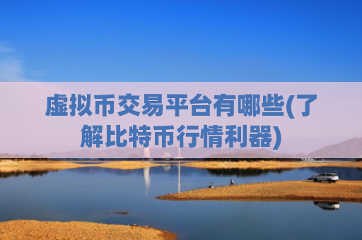 虚拟币交易平台有哪些(了解比特币行情利器)