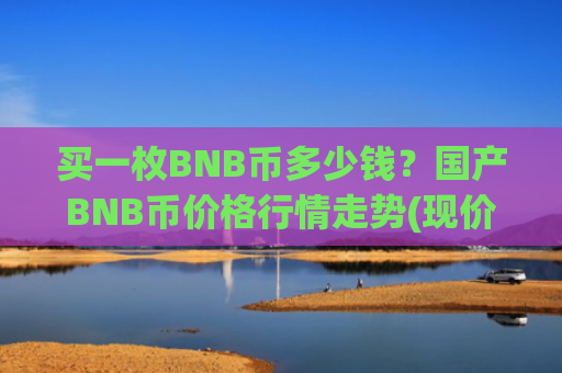 买一枚BNB币多少钱？国产BNB币价格行情走势(现价4795.77元)