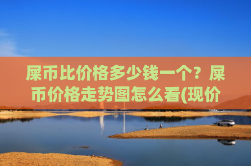 屎币比价格多少钱一个?屎币价格走势图怎么看(现价0.00015632元)