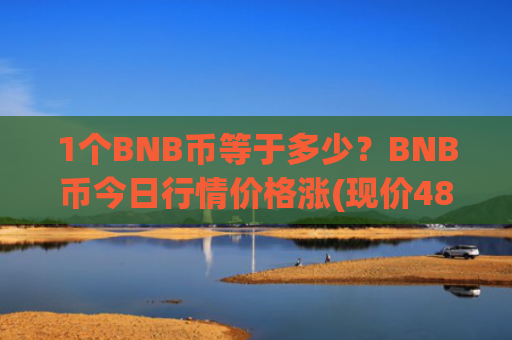 1个BNB币等于多少？BNB币今日行情价格涨(现价4837.57元)