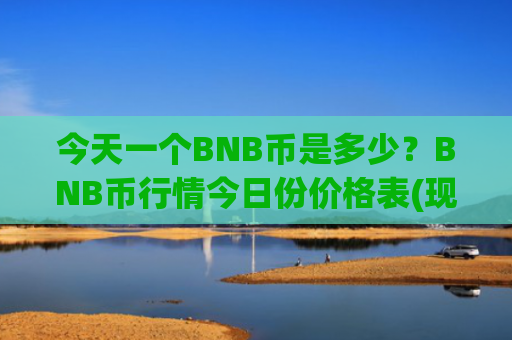 今天一个BNB币是多少？BNB币行情今日份价格表(现价4828.46元)
