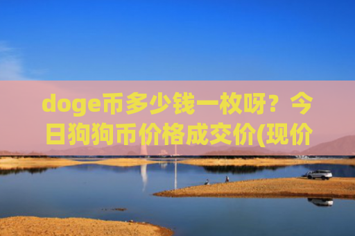 doge币多少钱一枚呀？今日狗狗币价格成交价(现价2.3111元)