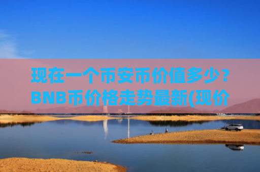 现在一个币安币价值多少？BNB币价格走势最新(现价4823.28元)