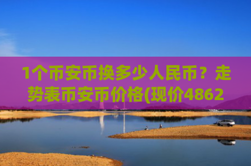1个币安币换多少人民币?走势表币安币价格(现价4862.96元)