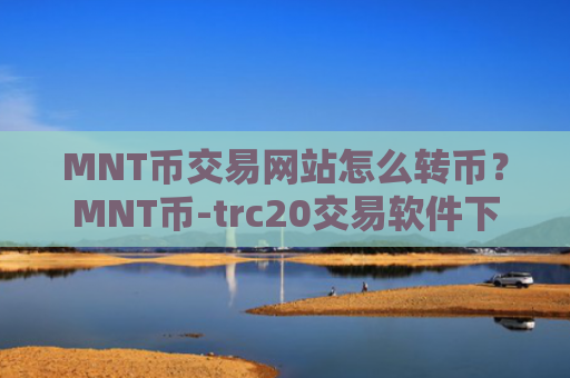 MNT币交易网站怎么转币?MNT币-trc20交易软件下载