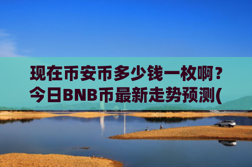 现在币安币多少钱一枚啊？今日BNB币最新走势预测(现价4869.7元)