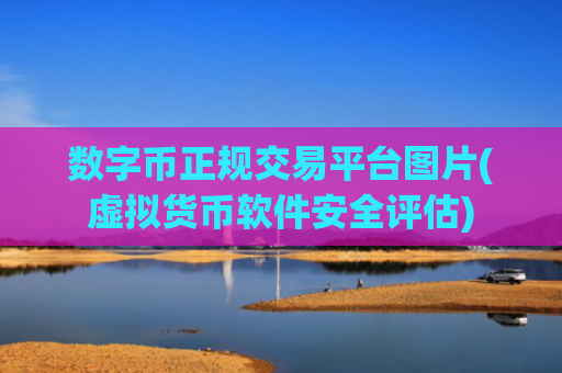 数字币正规交易平台图片(虚拟货币软件安全评估)