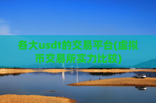 各大usdt的交易平台(虚拟币交易所实力比较)