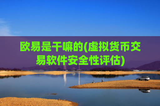 欧易是干嘛的(虚拟货币交易软件安全性评估)