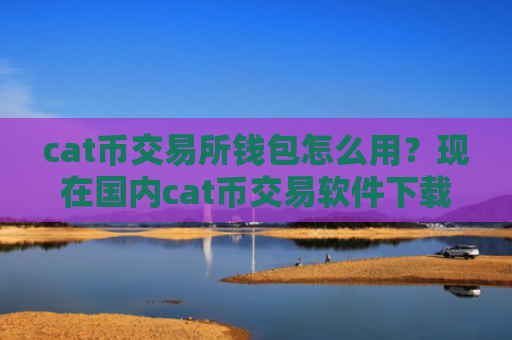 cat币交易所钱包怎么用?现在国内cat币交易软件下载
