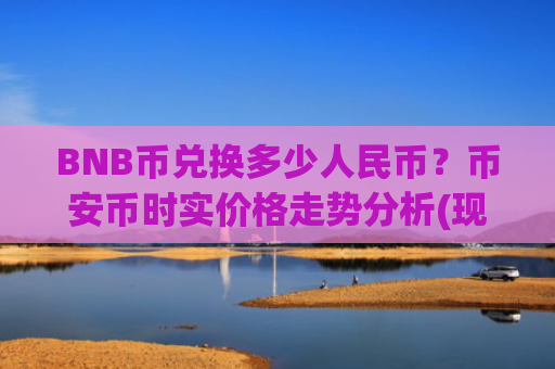 BNB币兑换多少人民币？币安币时实价格走势分析(现价4822.18元)