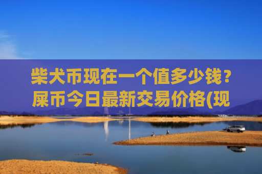柴犬币现在一个值多少钱?屎币今日最新交易价格(现价0.00015741元)