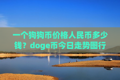 一个狗狗币价格人民币多少钱？doge币今日走势图行情(现价2.3221元)