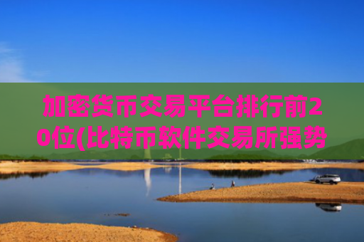 加密货币交易平台排行前20位(比特币软件交易所强势来袭)