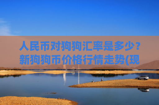 人民币对狗狗汇率是多少？新狗狗币价格行情走势(现价2.3616元)
