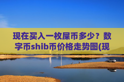 现在买入一枚屎币多少？数字币shib币价格走势图(现价0.0001615元)