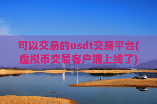 可以交易的usdt交易平台(虚拟币交易客户端上线了)