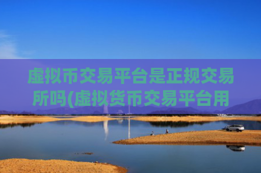 虚拟币交易平台是正规交易所吗(虚拟货币交易平台用户量暴增)
