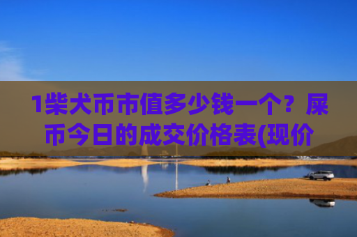 1柴犬币市值多少钱一个？屎币今日的成交价格表(现价0.00016106元)