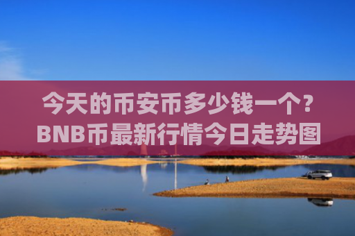今天的币安币多少钱一个？BNB币最新行情今日走势图表(现价4854.28元)