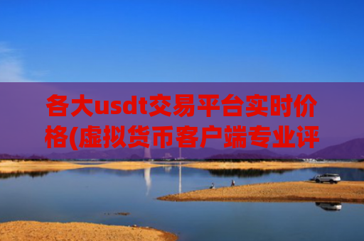 各大usdt交易平台实时价格(虚拟货币客户端专业评测)