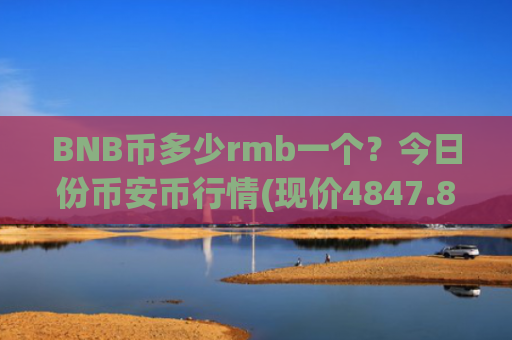 BNB币多少rmb一个？今日份币安币行情(现价4847.86元)