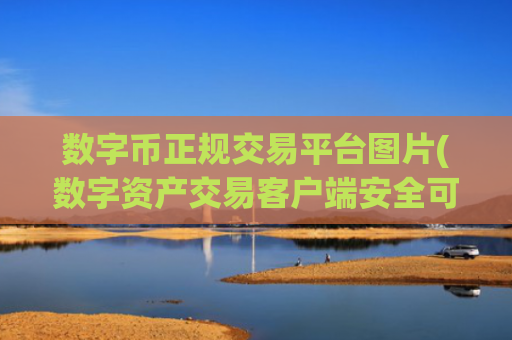 数字币正规交易平台图片(数字资产交易客户端安全可靠)