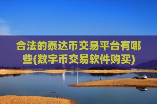 合法的泰达币交易平台有哪些(数字币交易软件购买)