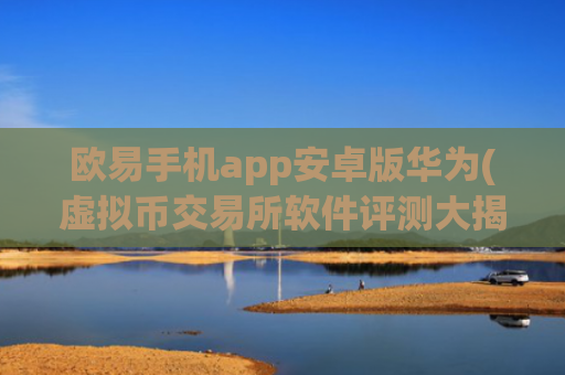 欧易手机app安卓版华为(虚拟币交易所软件评测大揭秘)