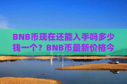 BNB币现在还能入手吗多少钱一个？BNB币最新价格今日价(现价4806.1元)