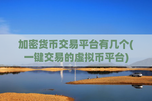 加密货币交易平台有几个(一键交易的虚拟币平台)