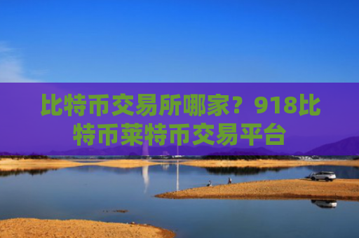 比特币交易所哪家？918比特币莱特币交易平台
