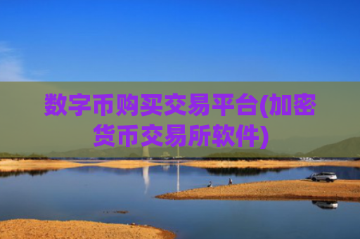 数字币购买交易平台(加密货币交易所软件)