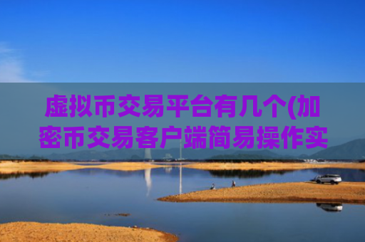 虚拟币交易平台有几个(加密币交易客户端简易操作实用)