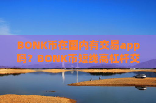 BONK币在国内有交易app吗?BONK币短线高杠杆交易所