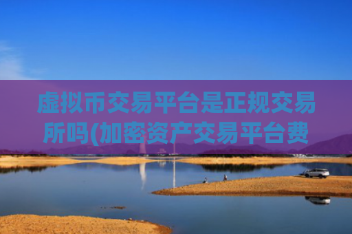 虚拟币交易平台是正规交易所吗(加密资产交易平台费用分析)