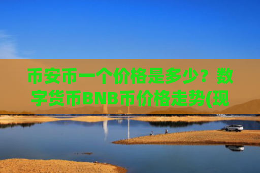币安币一个价格是多少?数字货币BNB币价格走势(现价4851.58元)