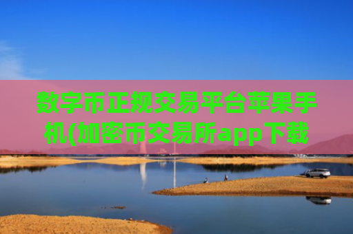 数字币正规交易平台苹果手机(加密币交易所app下载技巧)