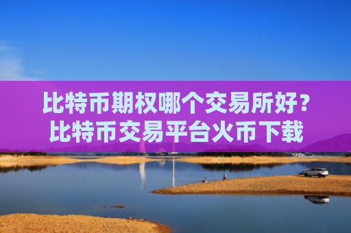 比特币期权哪个交易所好？比特币交易平台火币下载