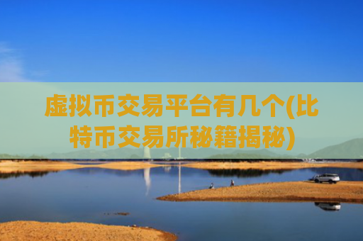 虚拟币交易平台有几个(比特币交易所秘籍揭秘)